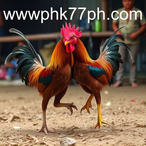 Exploring the Fascinating World of Sabong Games with PHK77 PH